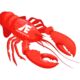Lobster Bowl Regatta Store